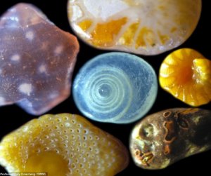 magnified sand grains